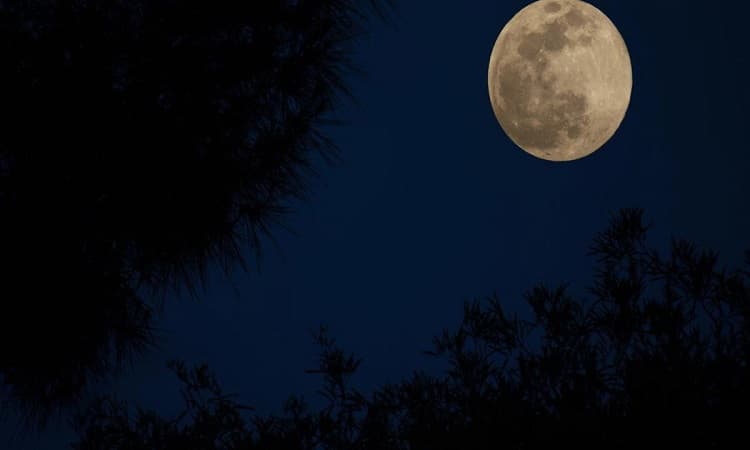 BMKG: Gerhana Bulan Penumbra 25 Maret 2024, Tonton Fenomena Langka Muncul Di Indonesia - Image