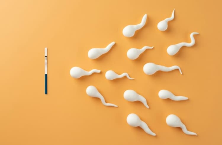 Apakah Sperma Najis atau Suci ? Begini Hukum Menelan Sperma Menurut Islam - Image