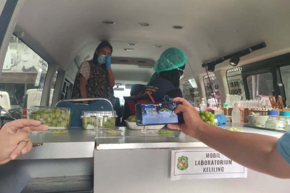 Pemkot Medan Lakukan Pengecekan ke Pasar Terkait Anggur Shine Muscat - Image