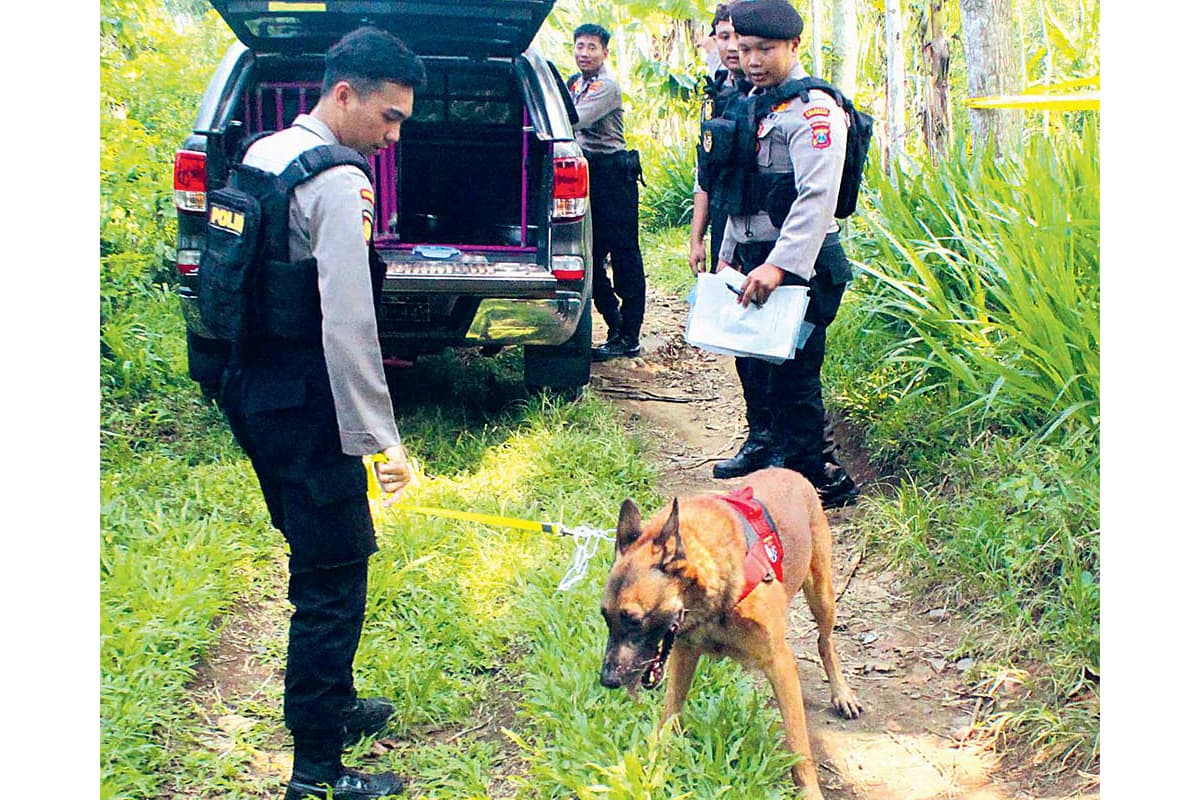 Menteri PPPA Kawal Proses Hukum Kasus Rudapaksa Bocah 7 Tahun, Polresta Banyuwangi Terjunkan K9 - Image
