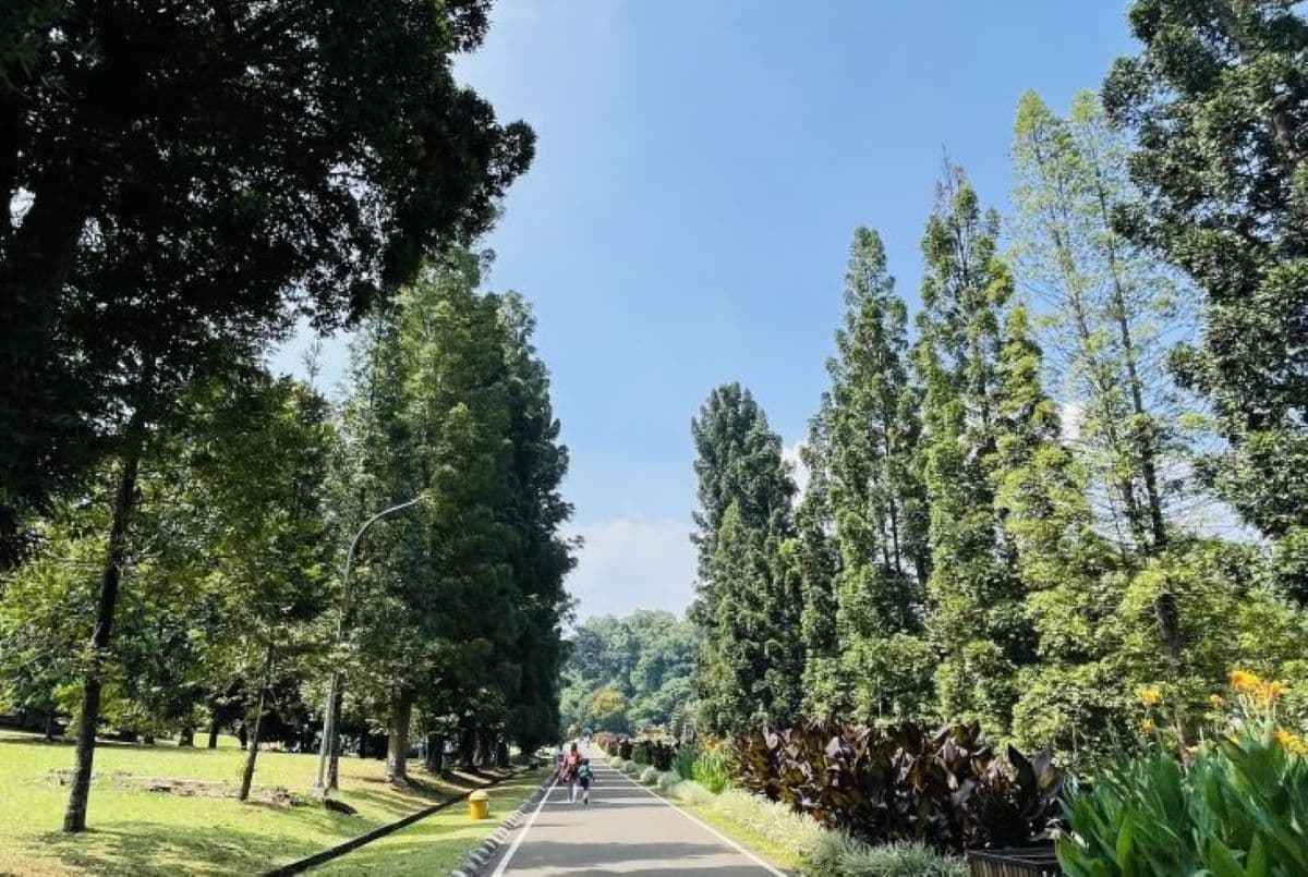 Pengelola Kebun Raya Bogor Laporkan Kekerasan Terhadap Satpam ke Polisi - Image