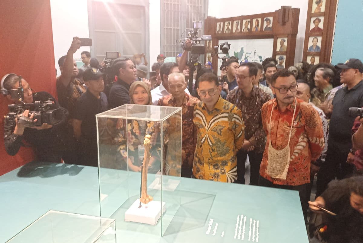 Mayoritas Fosil Homo Erectus Ditemukan di Nusantara, Menteri Kebudayaan Fadli Zon Tegaskan Indonesia Sebagai Peradaban Tertua di Dunia - Image