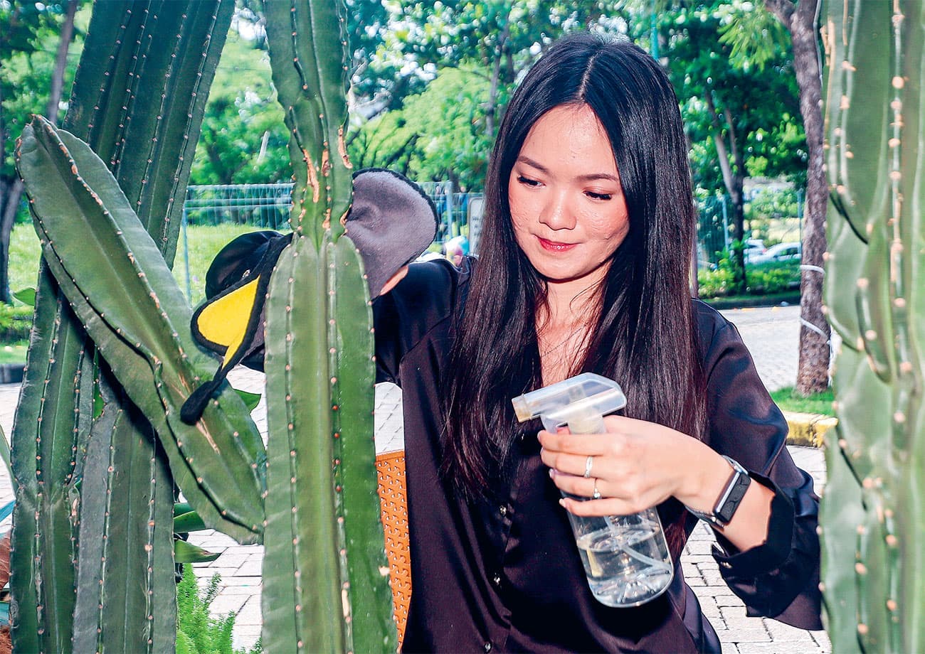 Menanam Kaktus Koboi yang Mudah Dikembangbiakkan dan Tidak Rewel - Image