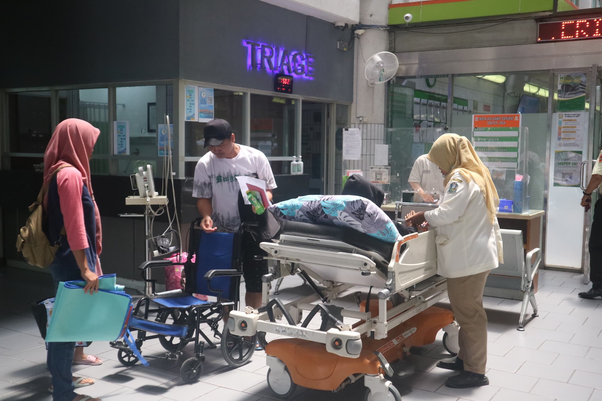 Kasus DBD di Surabaya Meningkat, Ini Langkah Dinkes untuk Mengatasinya - Image