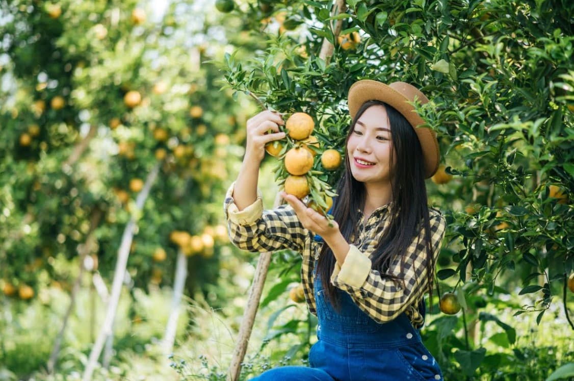 7 Rekomendasi Wisata Perkebunan di Bandung, Bisa Petik Buah Sendiri dan Cocok untuk Keluarga Muda! - Image