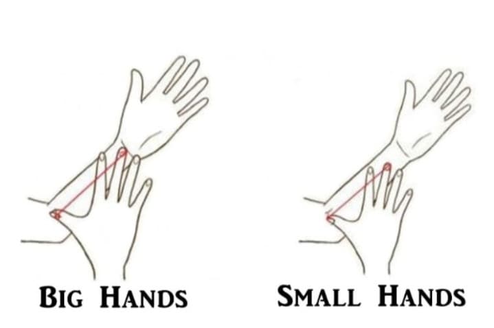Ukuran Tangan Tak Sekadar Genetik, tapi Juga Petunjuk Sikap dan Cara Pandangmu terhadap Dunia: Cek Kamu yang Mana? - Image