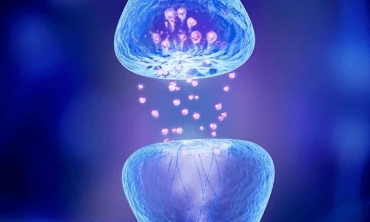 Peneliti Stanford Ciptakan Sinaps Buatan, Hemat Energi dan Bisa Berkomunikasi dengan Sel Hidup - Image