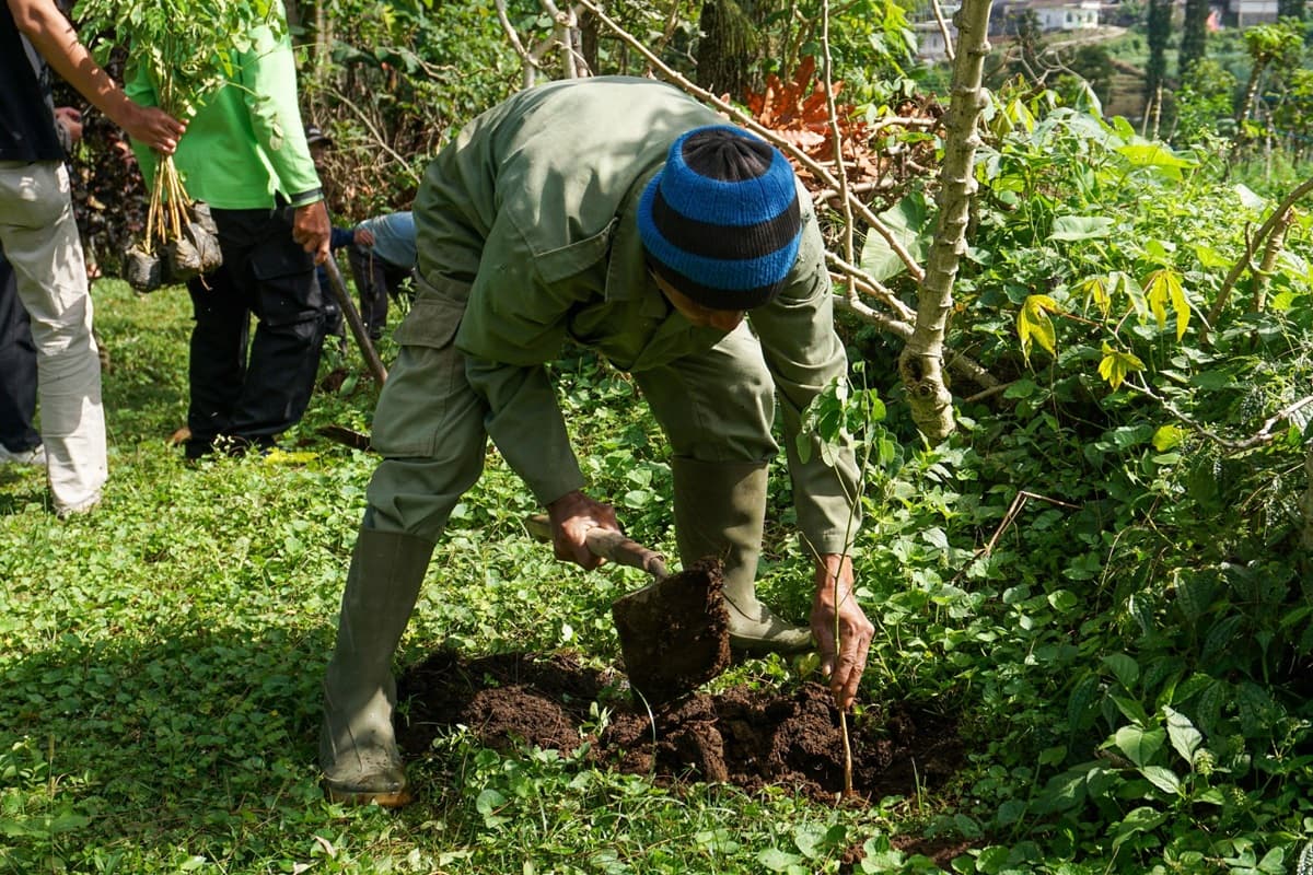 Rayakan HUT ke-80 Kemerdekaan RI, Nestlé Indonesia Targetkan Net Zero Carbon 2050 - Image