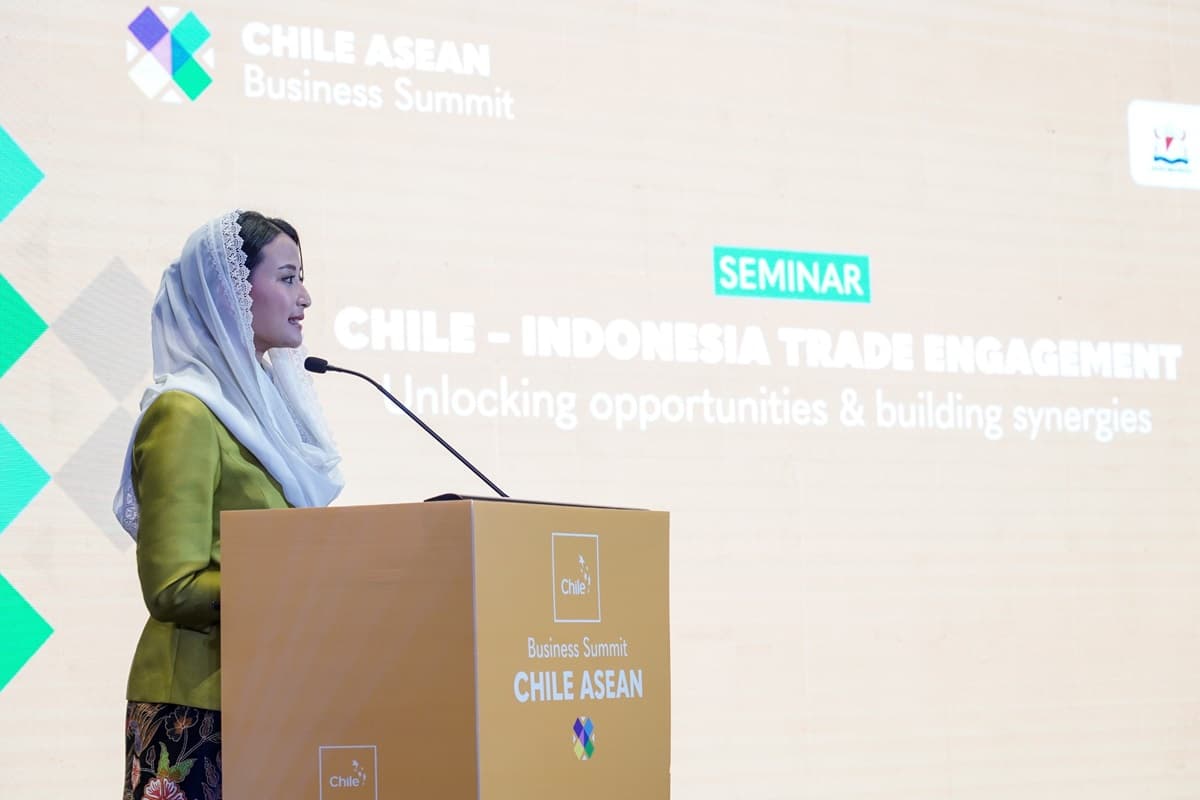 Upaya Penguatan Kerja Sama dengan Cile, Wamendag Dorong Potensi Otomotif hingga Alas Kaki - Image