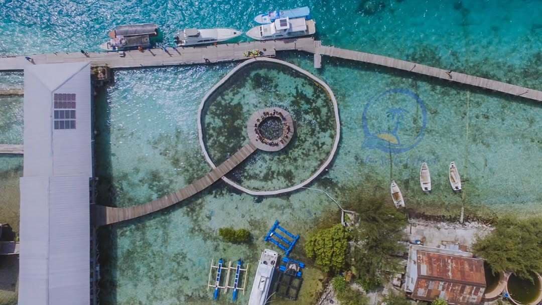 5 Rekomendasi Pulau Di Kepulauan Seribu yang Menawarkan Pesona Alam dan Kegiatan yang Dapat Melepas Penat - Image