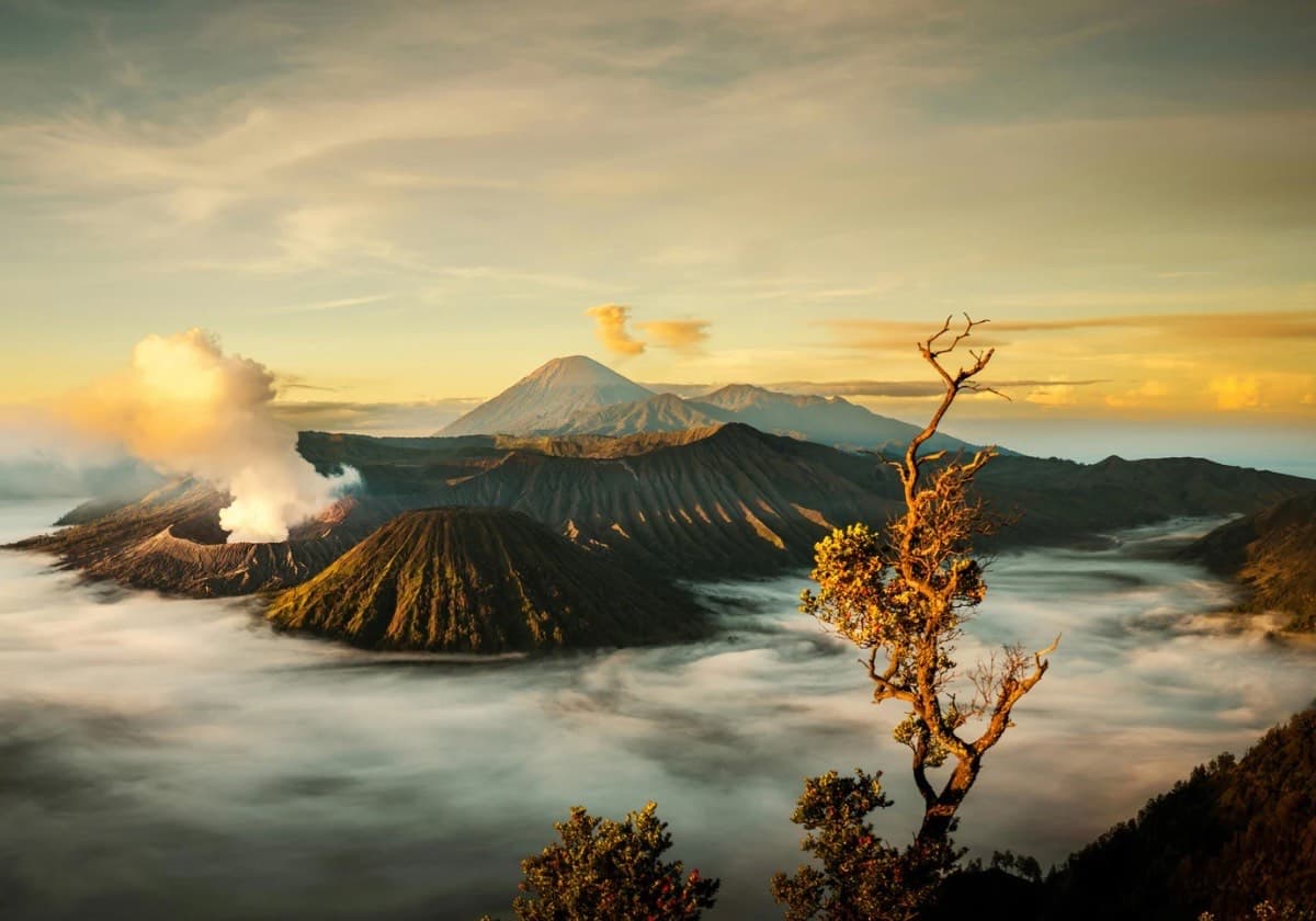 8 Tips Lihat Sunrise di Gunung Bromo, Panduan Lengkap Menikmati Keindahan Alam dari Spot Terbaik - Image