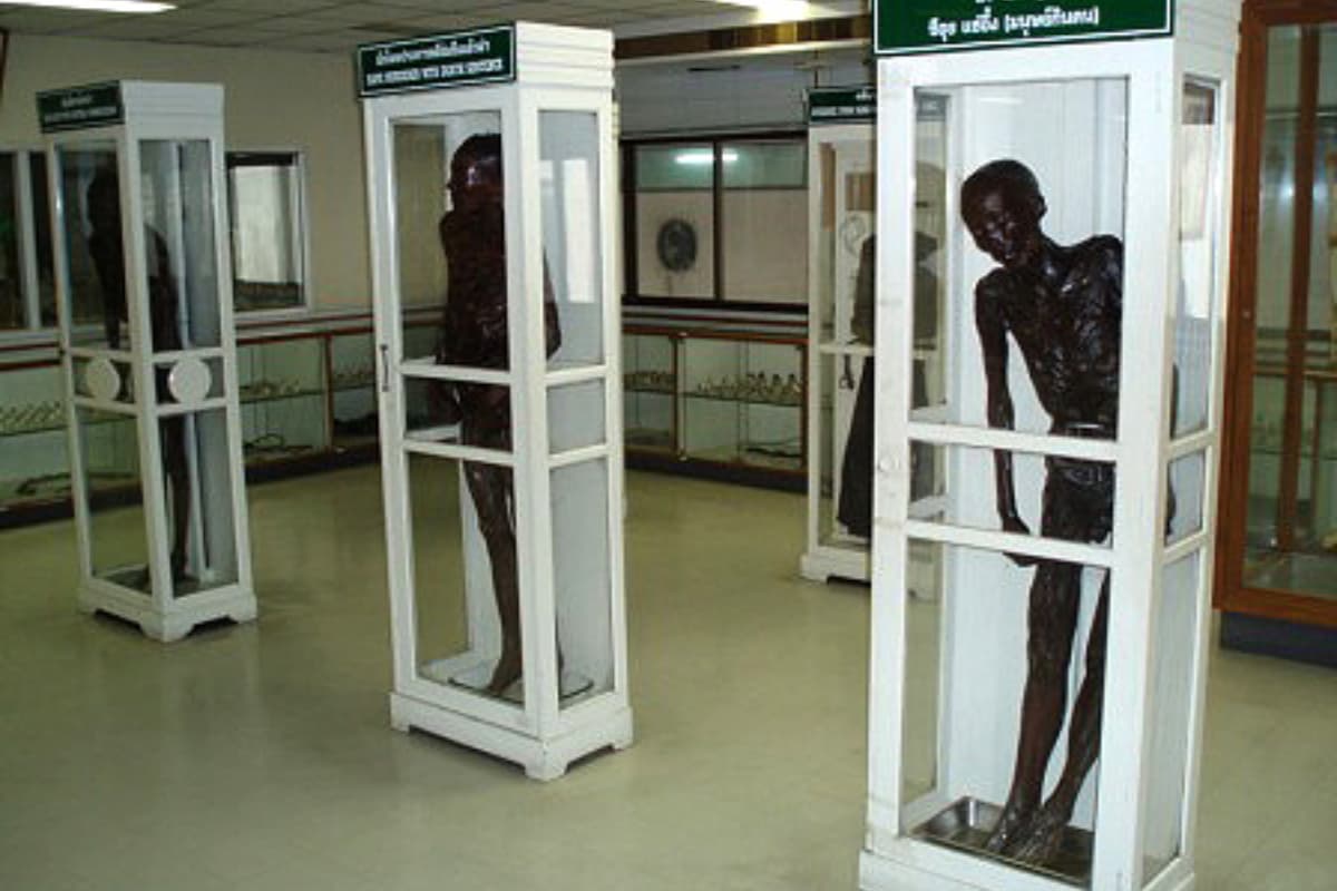 Koleksi Mengguncang di Museum Siriraj: dari Korban Mutilasi hingga Pembunuh Anak - Image