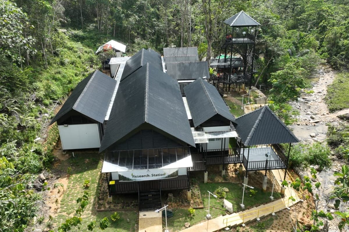 PTAR Konversi Area 5.700 Hektare untuk Konservasi Batang Toru dan Perlindungan Orang Utan Tapanuli - Image