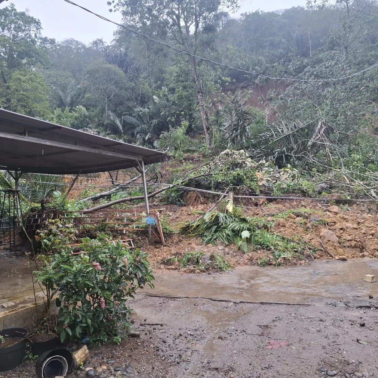 Bencana Longsor di Tapanuli Utara Sumut: Mobil Terhanyut, 4 Orang Dilaporkan Luka-luka - Image