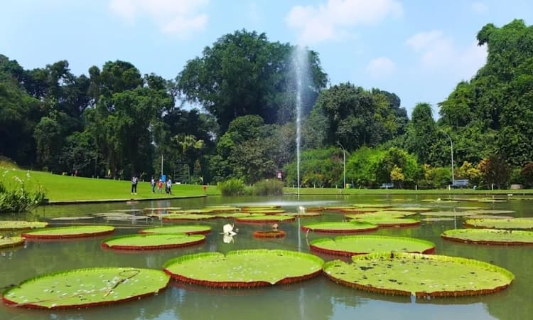 10 Wisata Alam Bogor yang Cocok untuk Tahun Baruan 2026, Pas untuk Liburan dan Menyegarkan Pikiran - Image