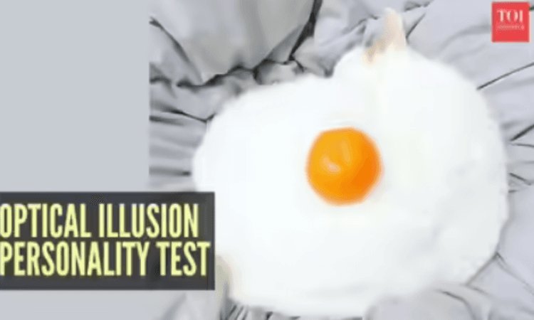 Sanguinis-kah Anda? Ungkap Melalui Ilusi Optik Telur Mata Sapi, Jeruk, atau Kucing Berikut Ini - Image