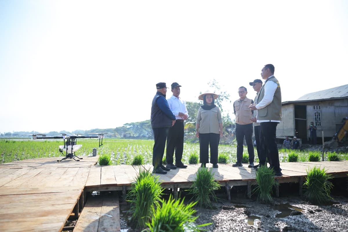 Mentan Pastikan Stok Beras di Aceh Tinggi - Image