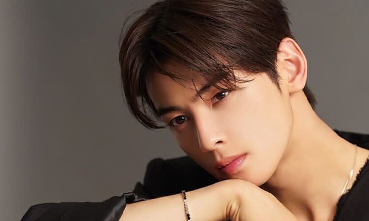 Cha Eun Woo Terancam Hukuman Penjara Jika Terbukti Bersalah dalam Kasus Dugaan Penggelapan Pajak - Image