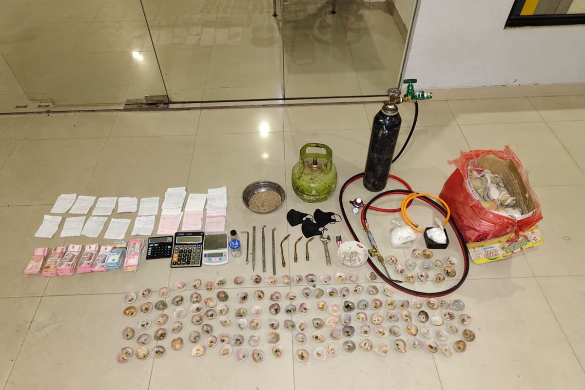 Polda Riau Bongkar Penampungan dan Pengolahan Emas Ilegal di Kuansing - Image