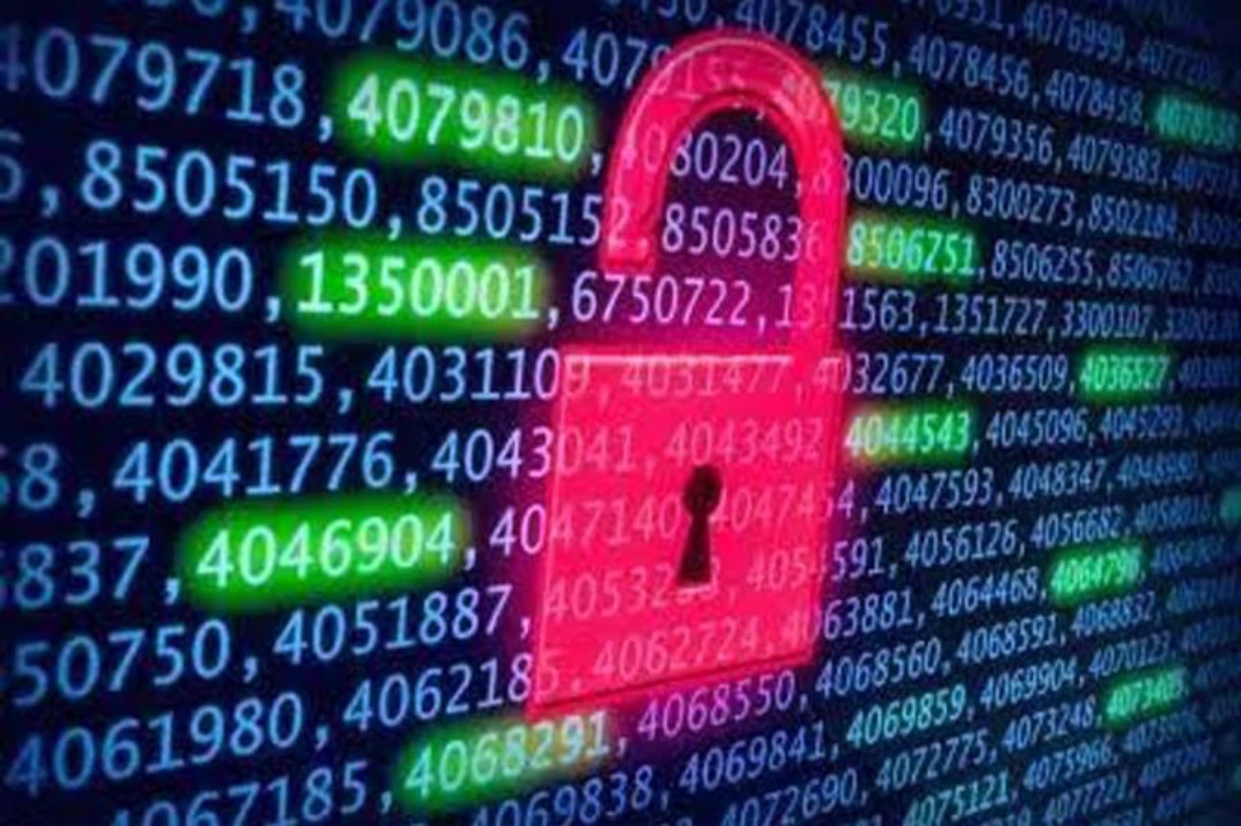 Komdigi Nonaktifkan Tiga Pejabat Perihal Data Pelamar Bocor Viral, Ternyata Ini Asal Muasalnya! - Image