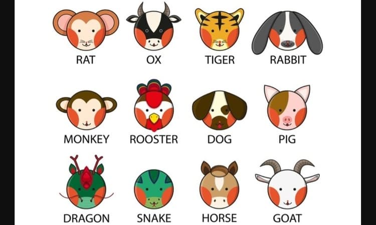 Ramalan 12 Shio Besok Jumat, 20 Februari 2026: Energi Hari Kerbau dan Keseimbangan Yin Wood - Image