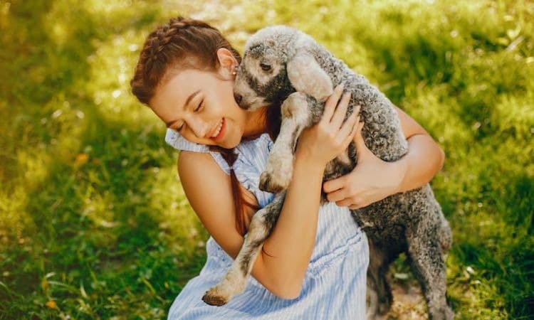 3 Zodiak Pecinta Hewan, Memiliki Koneksi Paling Kuat dengan Aneka Satwa - Image