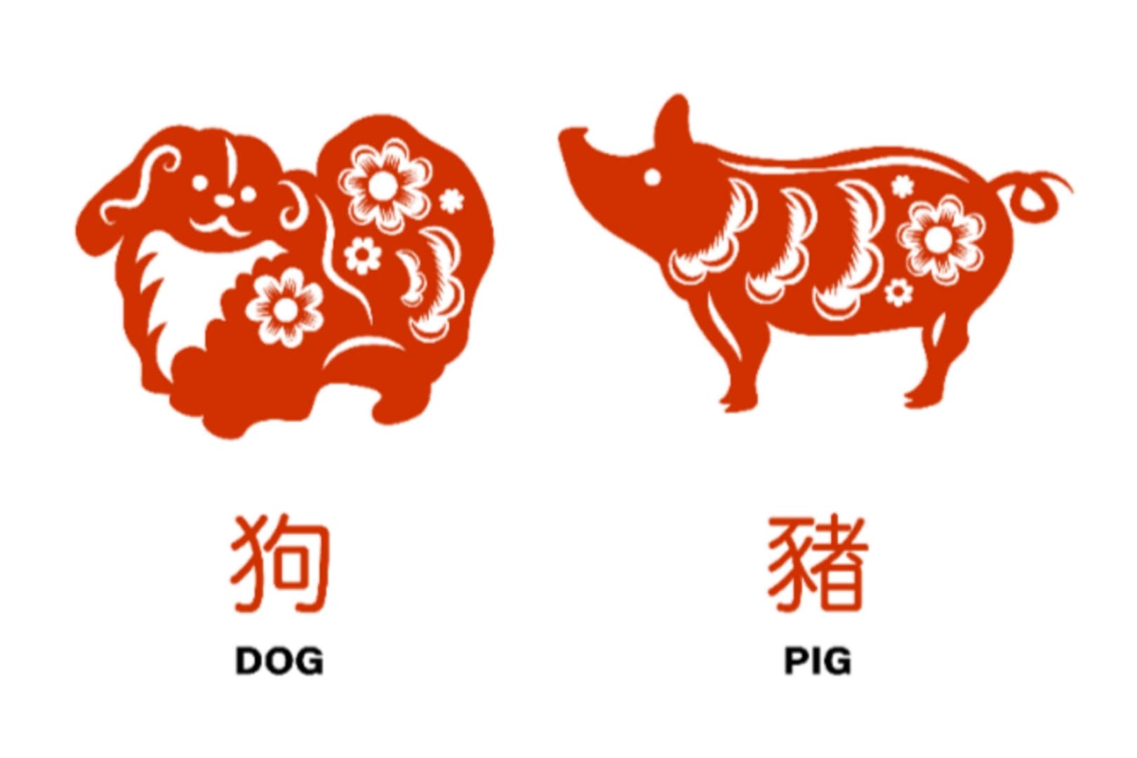 Ramalan Shio Anjing dan Babi Besok Sabtu 21 Februari 2026: Cek Hoki dan Peruntungannya! - Image