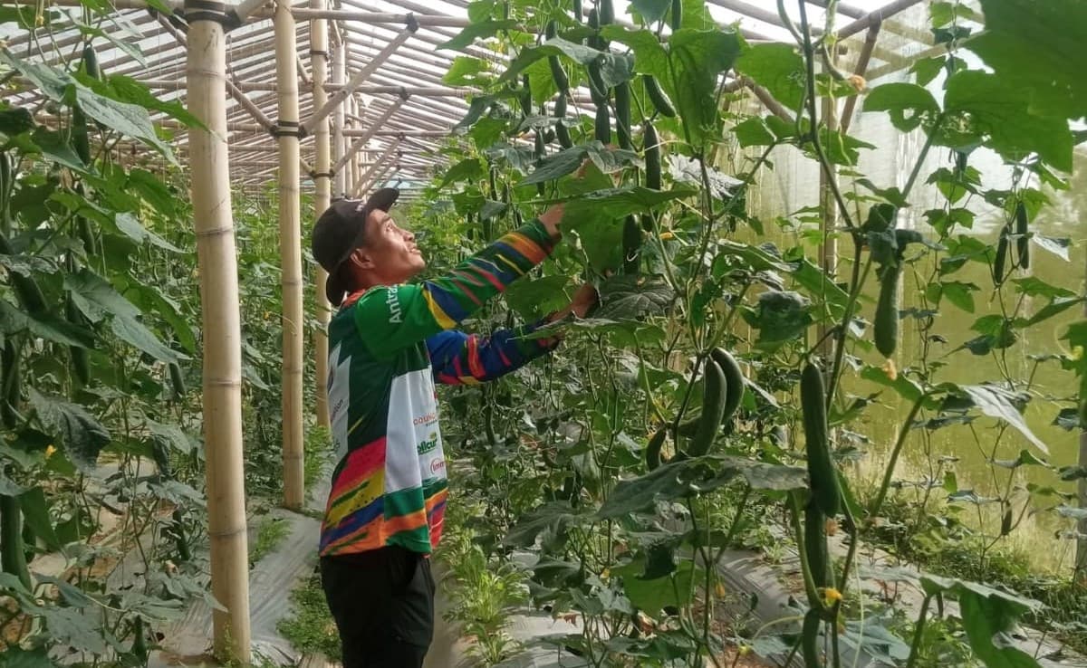 Jaga Stabilitas Harga Selama Puasa dan Lebaran, Petani Pegang Peran Sentral Jaga Pasokan - Image