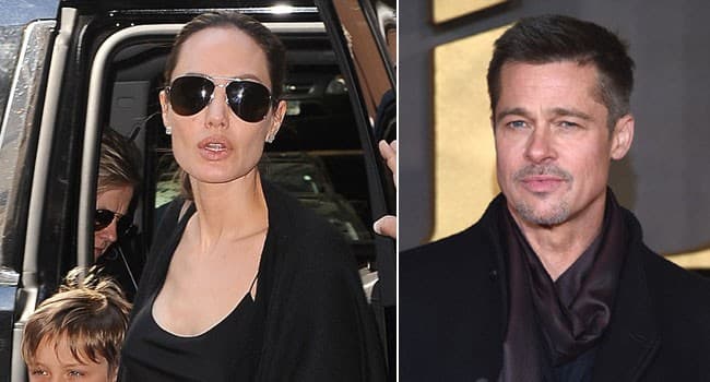 Brad Pitt Raih Raih Kemenangan Hukum Atas Angelina Jolie dalam Sengketa Kepemilikan Kebun Anggur - Image